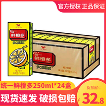 Uniform Enterprise Fresh Orange Dodo C Multi-Pretty 250ml * 24 Box Loaded Fresh Orange Taste Drink Whole Box Flavor Orange Juice