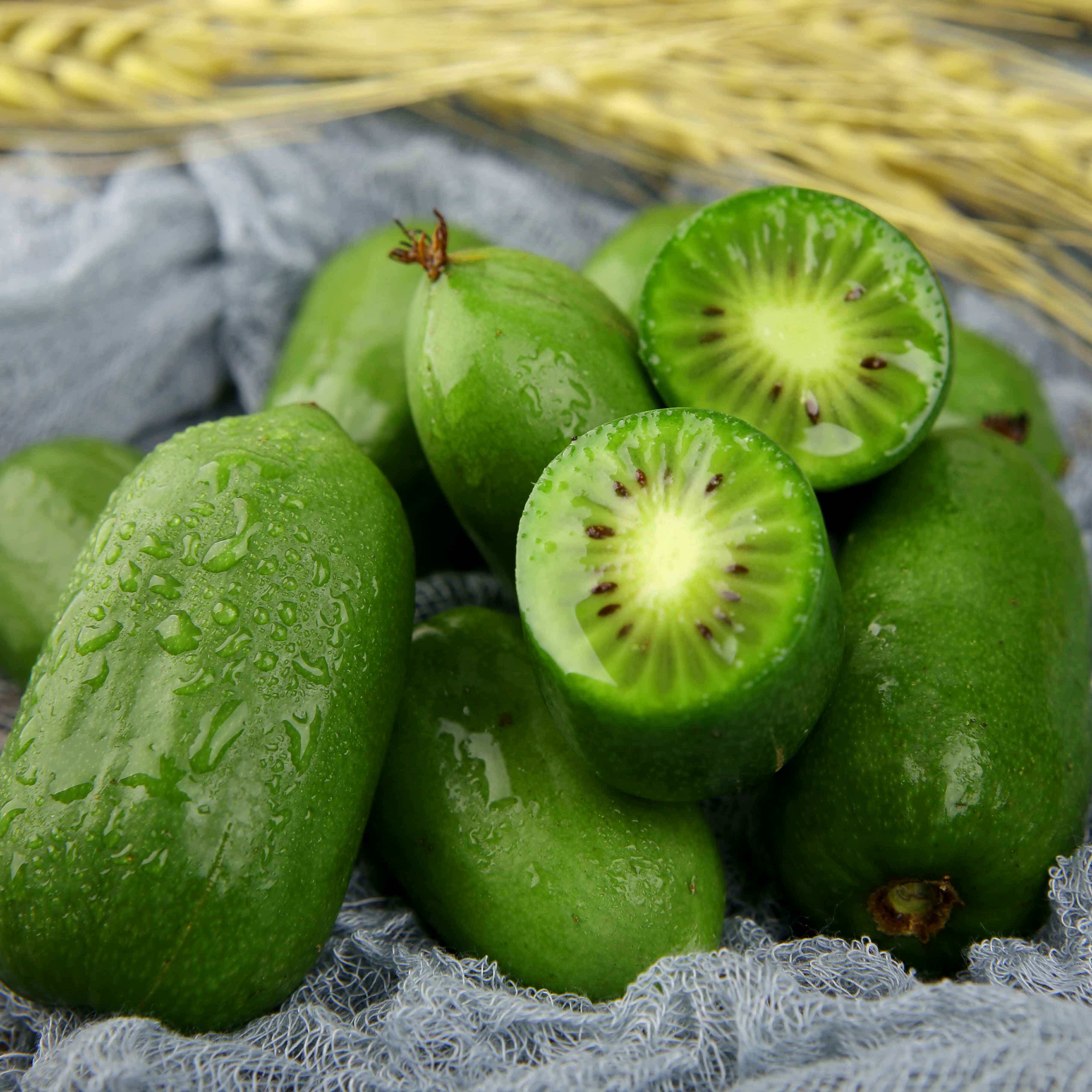 丹东特产 魅可 新鲜软枣猕猴桃 半斤试吃装 天猫优惠券折后￥8包邮（￥18-10）