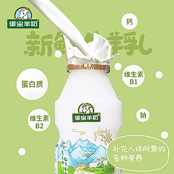 御宝羊奶乳酸菌酸羊奶益生菌饮料100ml*20瓶[30元优惠券]-寻折猪