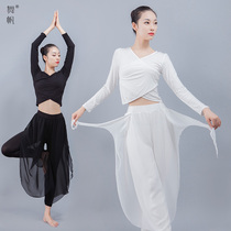 Dance pants Female adult Chiffon mesh pants loose modern dance practice suit Classical dance National dance suit Examination long sleeve