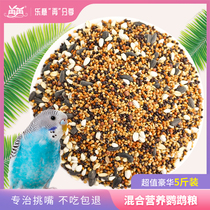 Tiger Leather Parrot Feed Hyun Phoenix Bird Grain Millet With Shell Yellow Valley Son Peony Bird Food Five Color Millet Mixed Bird Grain