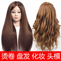 Hairdressing head model full real hair apprentice can perm roll dummy head practice coil hair braided hair doll model head model bracket