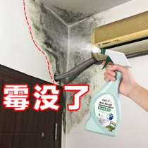 (Upgrade Formula One Spray Mouldy) Go to mouldy anti-mildew Wall Wall Wallpaper Wall Mouldy Spray