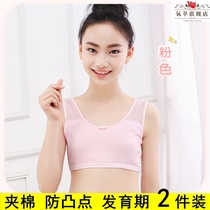 Adolescent girls middle-aged childrens underwear wearing mesh vest developmental primary school students