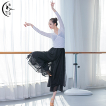 Modern classical dance clothing practice clothes Female adult tops elegant wide-legged pants Art examination base training clothes professional suit
