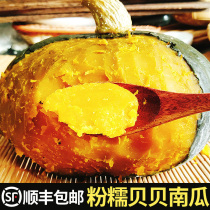 Beibei south melon chestnut flavor Beibei small pumpkin fresh 5 kg of vegetables now picked old melon powder waxy sweet farm 10