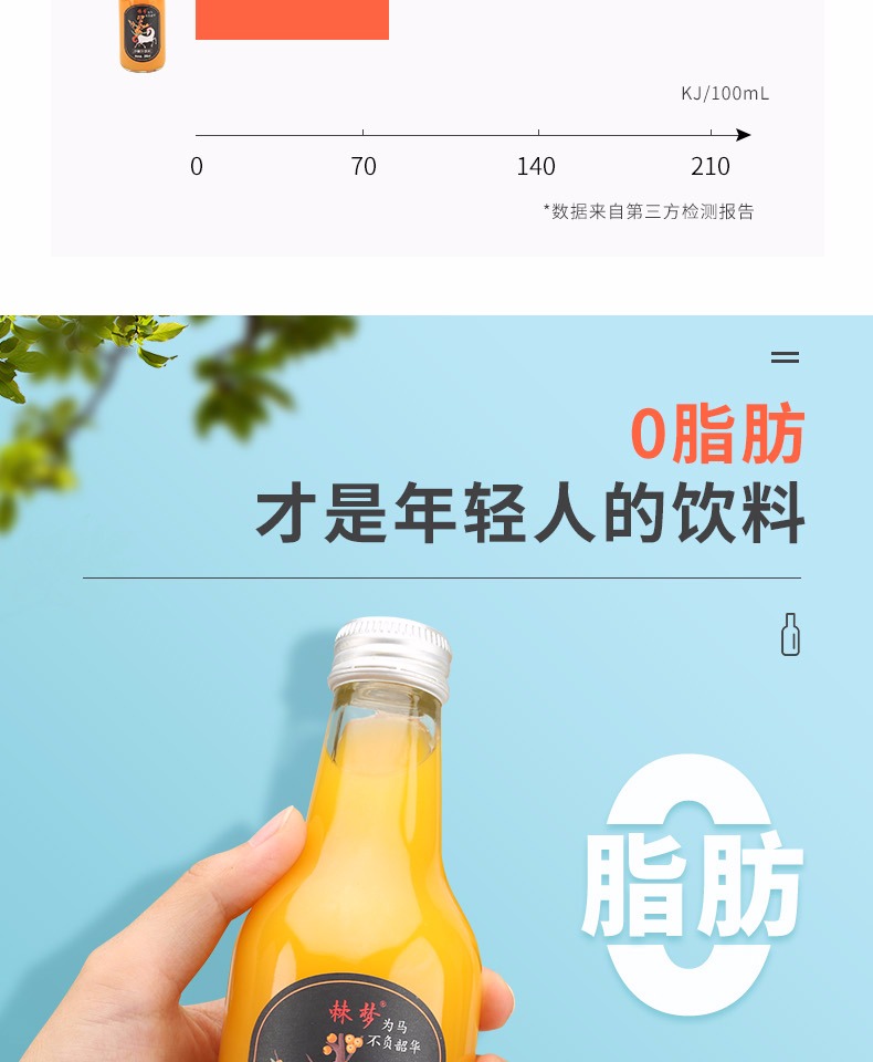 【山西特产】棘梦饮料生榨沙棘果汁248mlx8