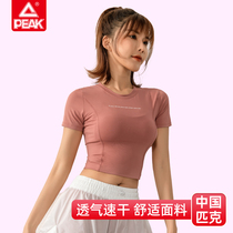 Pike Sports Blouses Women Fitness for summer Exercise Breathable Speed Dry Tight Fit T-Shirt Running Long Sleeve Sexy Yoga