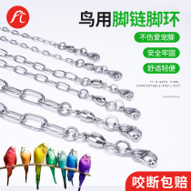 Stainless steel parrot anklet anklets bird chain anklets open ring starlings anklet buckles buckle bird supplies dont hurt feet