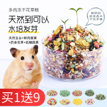 Little hamster grain staple grain self-matching molars fruit and vegetable breadworm freeze-dried grains Golden Bear feed snacks