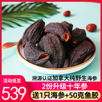 PureCoast Canada imported sea cucumber dried goods Wild 454 grams of light dry Arctic cylinder red ginseng non-Iceland