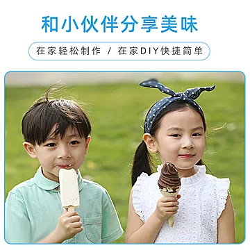 【稳定签到】家用自制雪糕冰淇淋粉100g[3元优惠券]-寻折猪