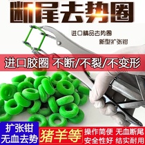 Tools to the tail lamb pig sheep tail tail tail lamb pig lamb pig baby calf