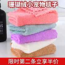 Small pet quick-drying absorbent towel small rabbit Dutch pig guinea pig bath bath towel warm nest blanket coral velvet