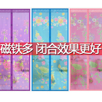 New Summer Mosquito Curtain Household Bedroom High-grade Magnetic Encrypted Door Curtain Shack Door Curtain