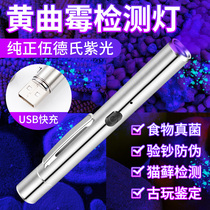 Aflatoxin detection pen charging ultraviolet light mycotoxin purple light 365 fluorescent agent flashlight