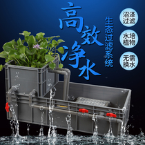 Circulating belt filter semi-water turtle box turtle pond ecological breeding box large turtle breeding box household open plastic