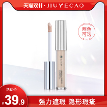 Nine Leaves Grass Silk Soft And Persistent Flawless Liquid Spots Face Black Eye Ring Lasting Control Oil Moisturizing flawless without makeup