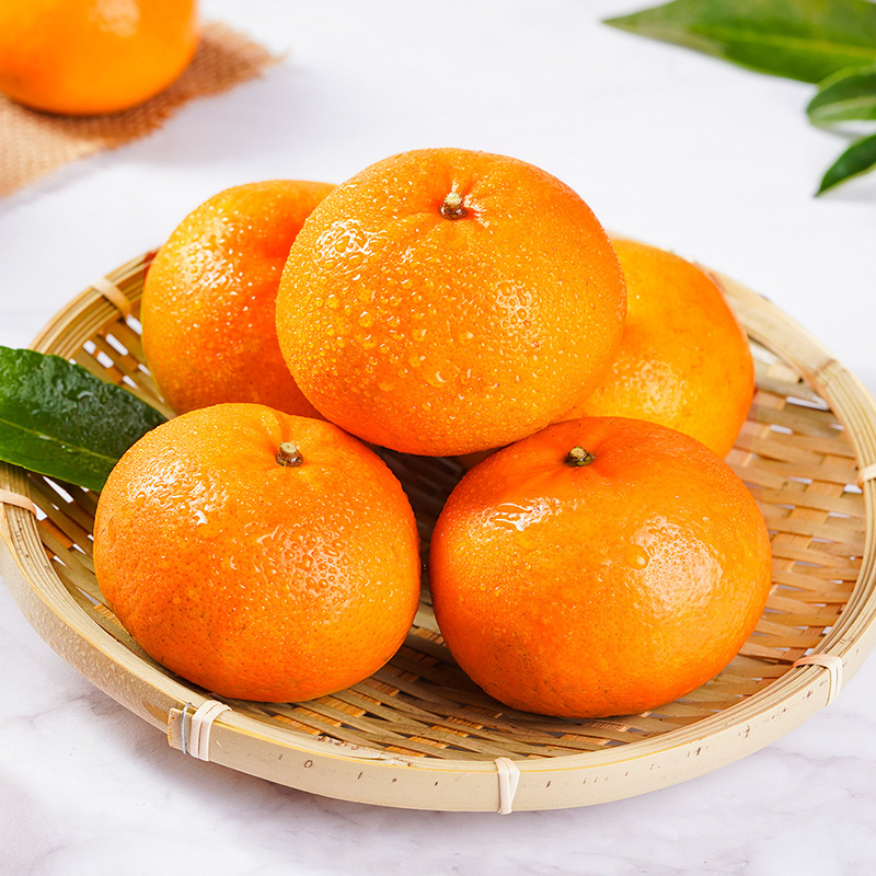 【现摘现发】广西武鸣沃柑5斤