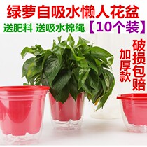 Green basket flower pot can store water automatic suction lazy flower plate Creative flower plate Home office watering-free green dill