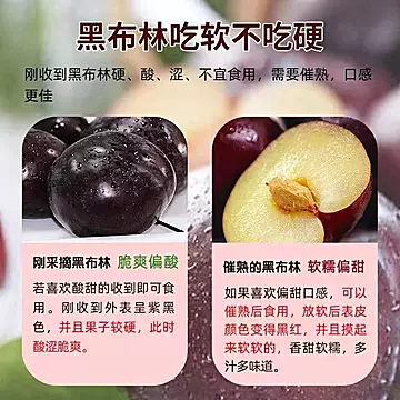 陕西头茬应季大黑布林3斤