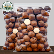 New Year Macadamia nut cream flavor 500g bulk large particles Spring Festival nuts set up Summer fruit whole box opener