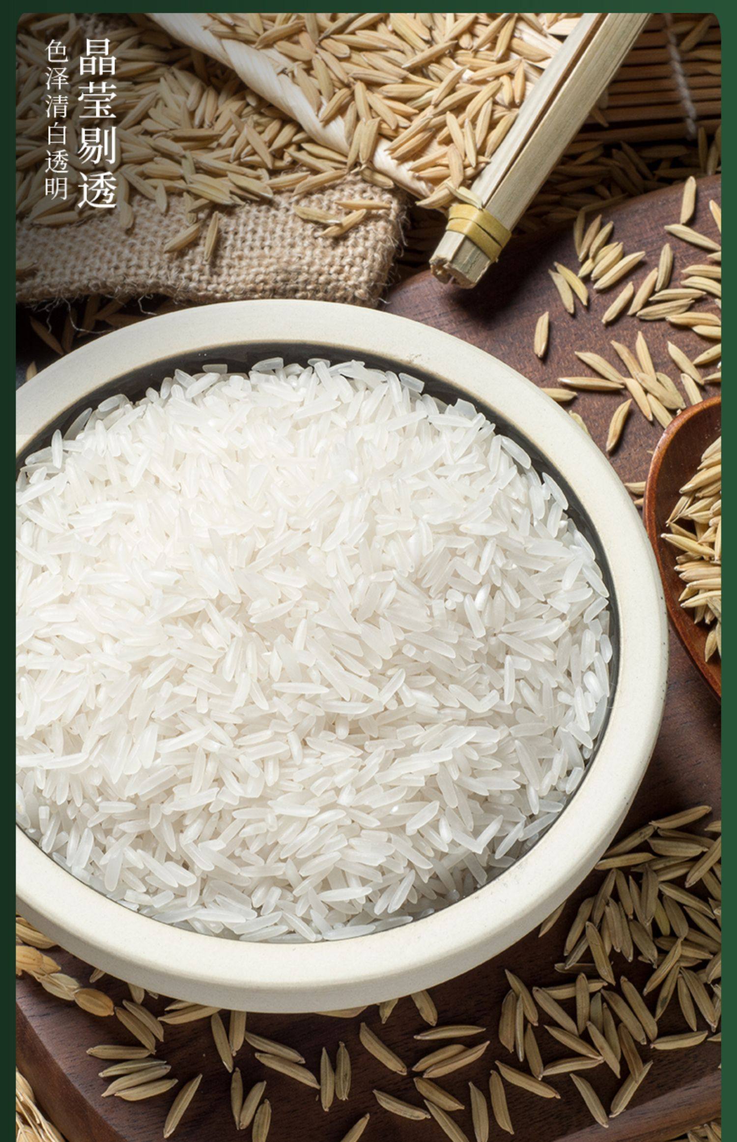 5kg5斤 2022年现磨新米长粒大米优质香米 真空袋装