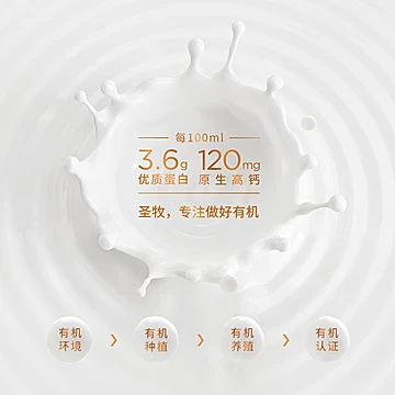 圣牧有机挚醇醇纯牛奶250ml*12盒*2箱[120元优惠券]-寻折猪