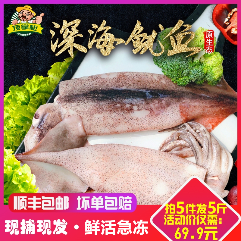 顶掌柜 新鲜深海大鱿鱼整只 5件共2500g