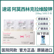 Zinno 250 mg anti - inflammatory cold medicine Amossilinkravice pet dog and cat urinary infection