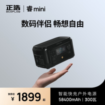 EcoFlow Zhenghao Rui mini outdoor mobile portable power supply 220V backup emergency car self-driving tour