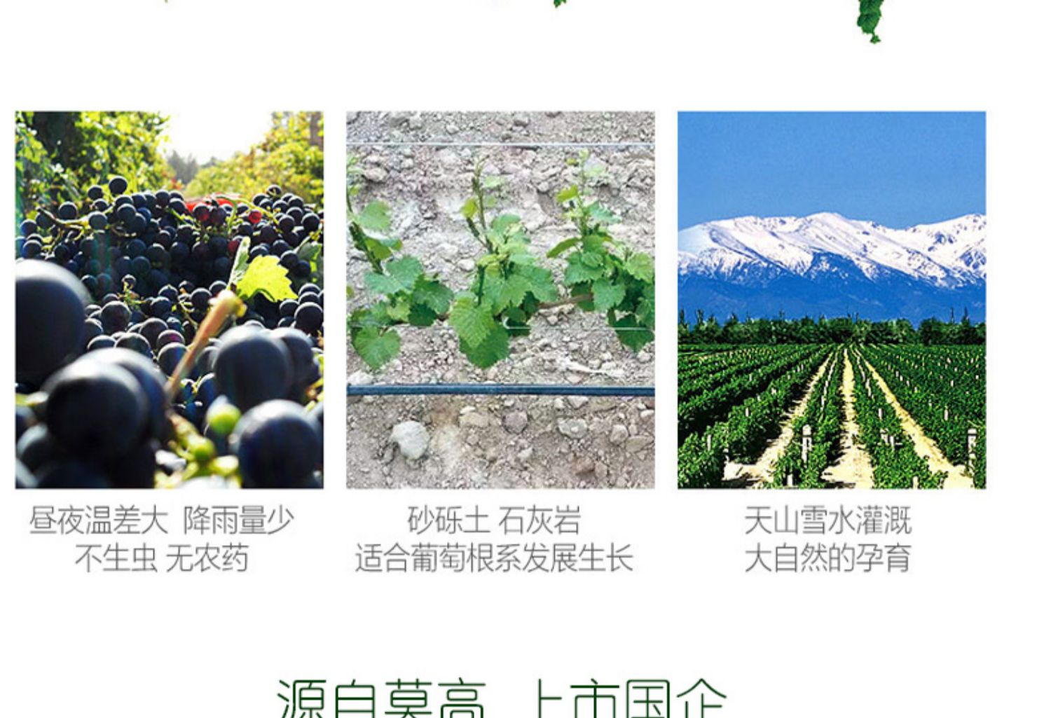 详情