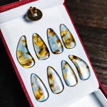 Guzheng special nails for beginners childrens prosthetic nails for adults professional performance-grade nails finger flutes prosthetic nails accessories