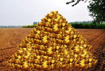 The gold ingot origin figure