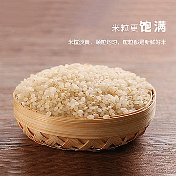 【杜家】谷物有机胚芽米500g[10元优惠券]-寻折猪