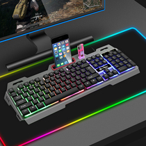 Real mechanical hand feel wired keyboard Mouse suit luminous computer desktop USB with character light backlight suspension