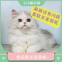 Consultation of the kitty point of contact link