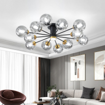 Living room lamp modern minimalist atmosphere home light lavish ceiling light Restaurant bedroom Nordic Lamp portfolio Full house package