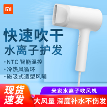 Xiaomi Mijia water ion hair dryer Female household barber shop size power portable dormitory hair dryer Portable