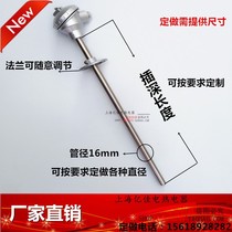 WZP-330 WZP-331 PT100 platinum thermal resistance PT100 temperature sensor active flange thermocouple