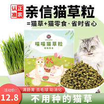 henchmen cronies Cat Grass Slices Grain Ready-to-eat Kittens Snack Mint Edible Biscuits Wool Ball Nutrition Fatter