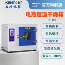 Kangheng instrument industrial oven electric constant temperature blast drying oven riding headlight oven high temperature electrode drying