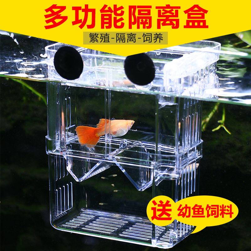 Fish tank isolation box peacock fish breeding box zebra small fish incubator anchovy juvenile suspended acrylic spawning room