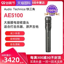 AudioTechnica Iron Triangle AE5100 percussion instrument guitar drum string condenser microphone microphone