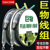 Japan Import Spot Large Things Giant Rem Green Fish Grass Fish Reinforcement Main Line Thread Group Subline Complete Set Finished Product