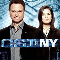 US drama crime scene investigation: New York 1-9-medium character 1080P sends 250 mobile hard drive