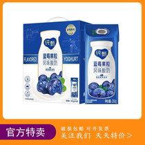 Mengniu Pure Zhen blueberry fruit 200g*10 boxes of whole box flavor yogurt new and old packaging random hair