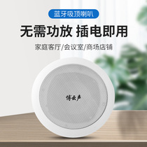 Boyun sound smart wireless phone Bluetooth suction top speaker free of power amplifier indoor shop background music broadcast suit