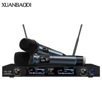 Concert class Professional U - section one drag two wireless microphone KTV karaoke microphone anti - interference