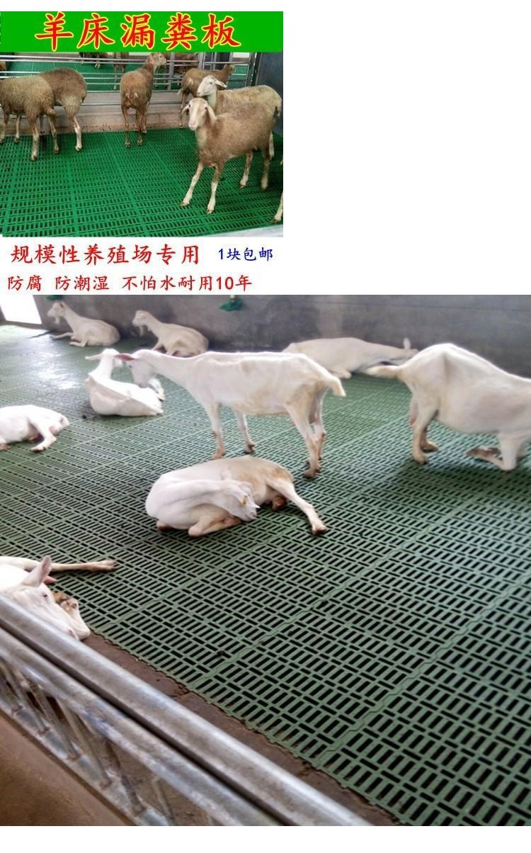 GCS认证辅导-GCS准则下大规模养殖户的责任与行动指南